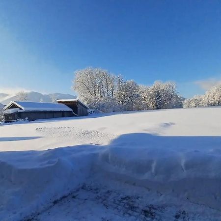 Ferienwohnung Geierstein Wackersberg ภายนอก รูปภาพ