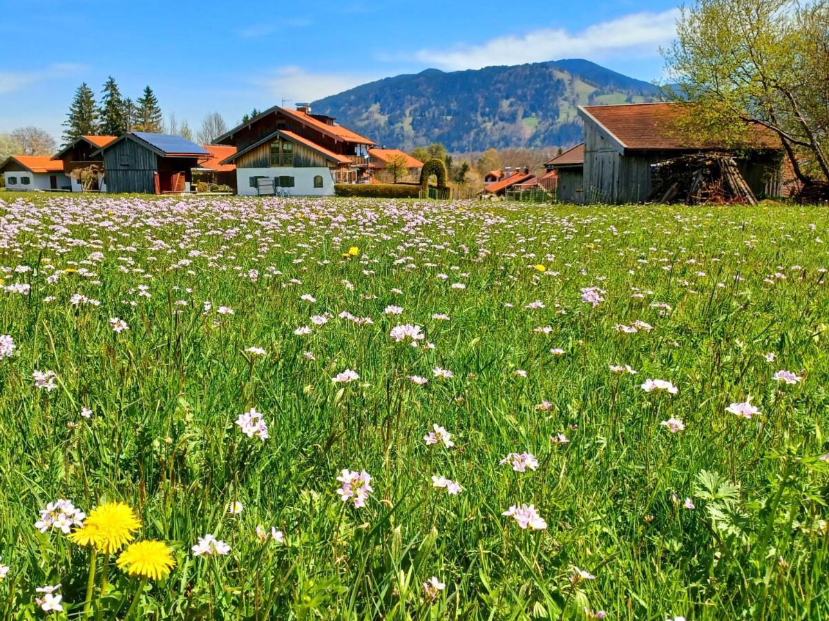 Ferienwohnung Geierstein Wackersberg ภายนอก รูปภาพ
