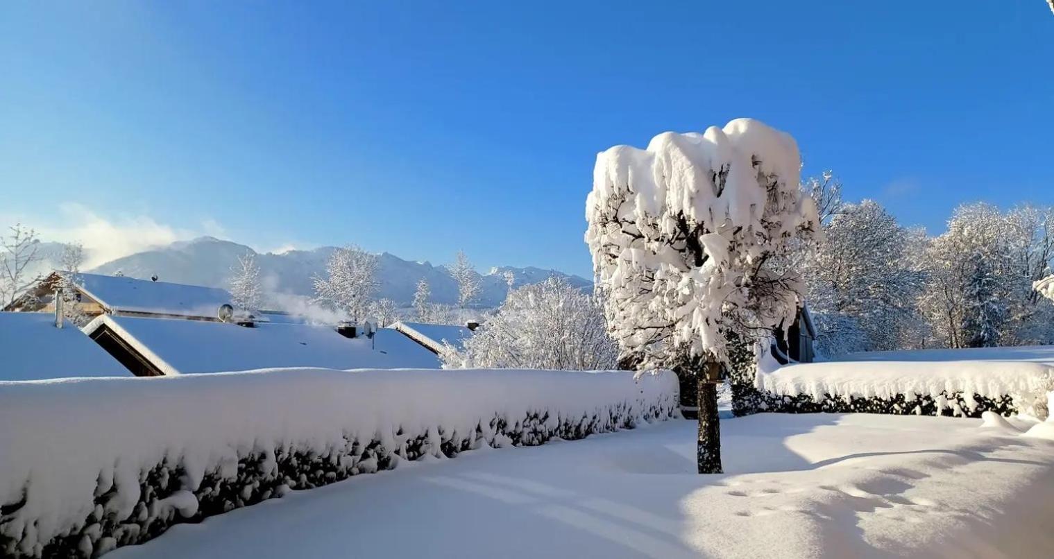 Ferienwohnung Geierstein Wackersberg ภายนอก รูปภาพ